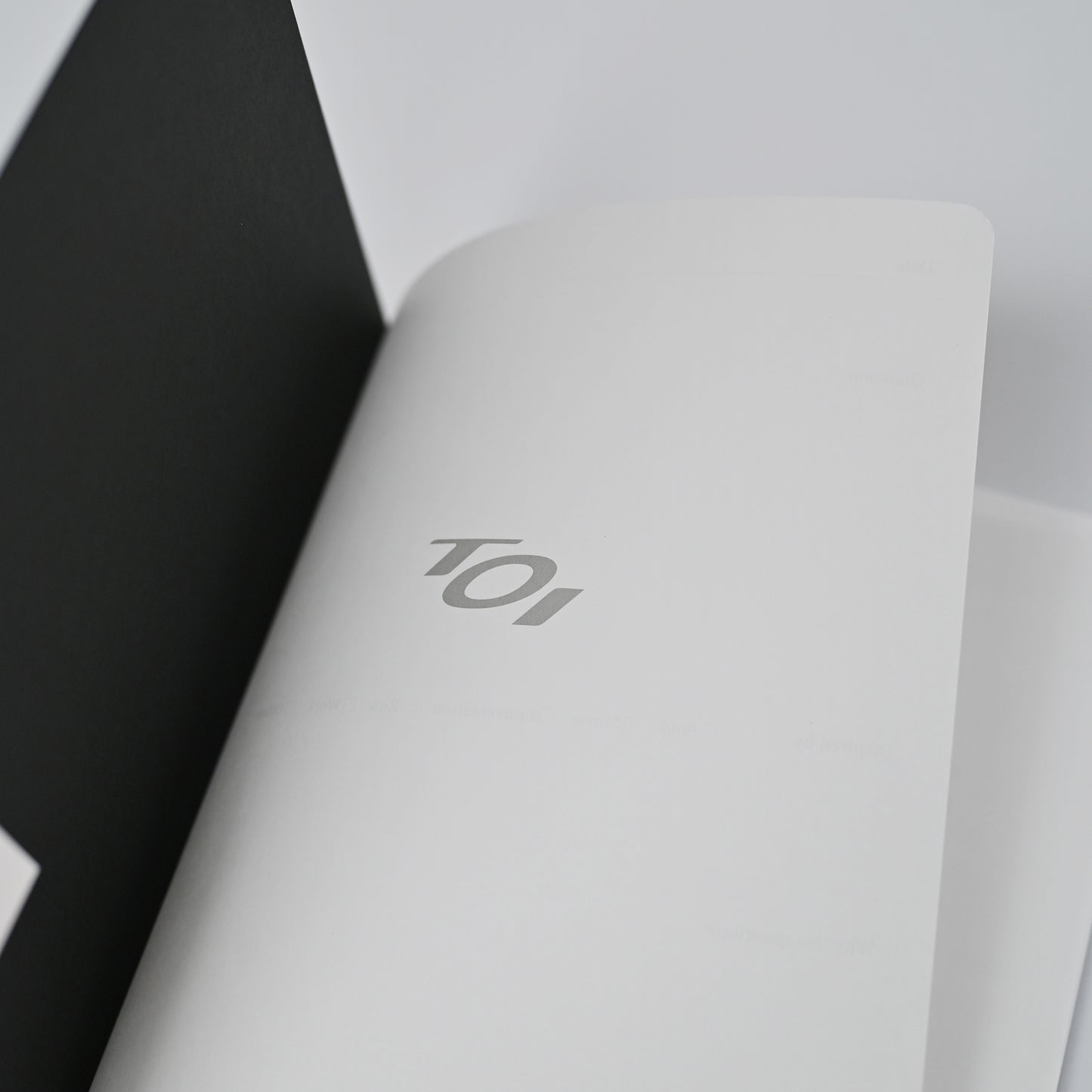 TOI Notebook